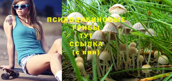 ECSTASY Алексин