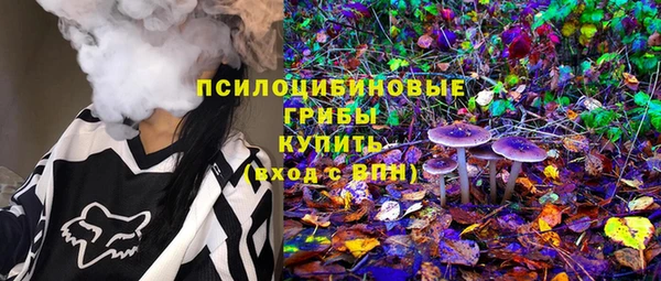 ECSTASY Алексин