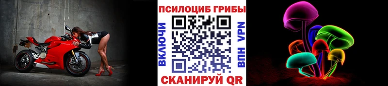 Галлюциногенные грибы GOLDEN TEACHER  как найти закладки  Дудинка 